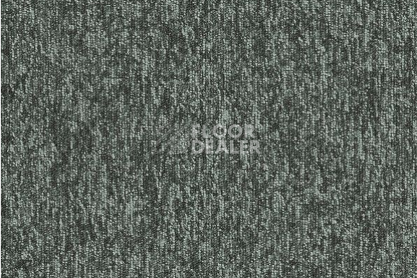 Ковровая плитка Interface New Horizons II 5586 Ash фото 1 | FLOORDEALER